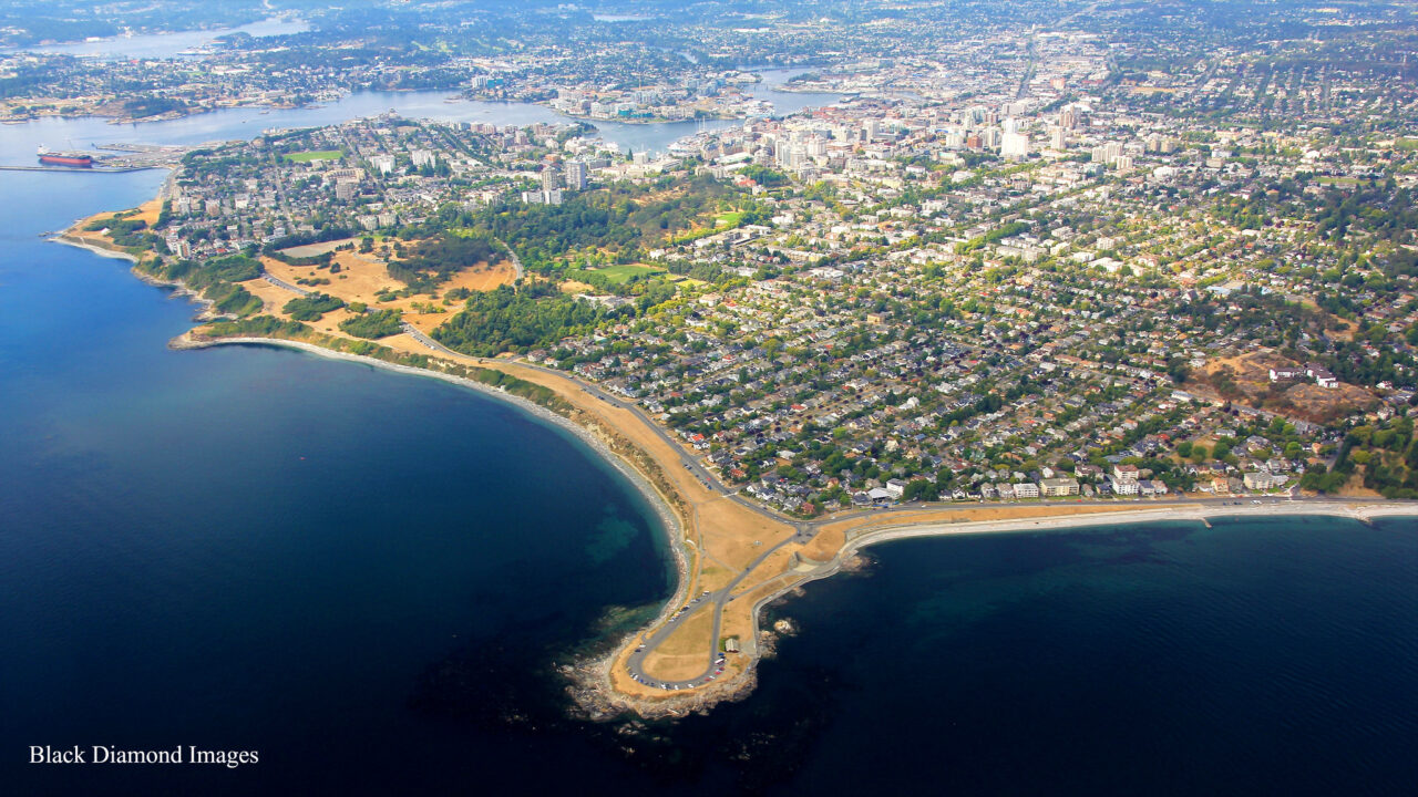 Pet Store Clover Point The Pet App
